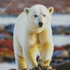 Cute Polar Bear Diamond Painting