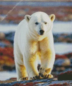 Cute Polar Bear Diamond Painting