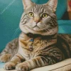 Cute Tabby Cat Diamond Painting