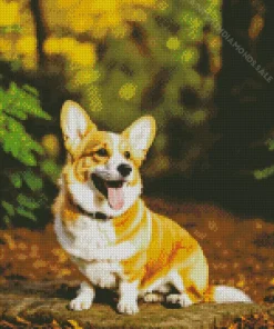 Cute Welsh Corgi Diamond Painting