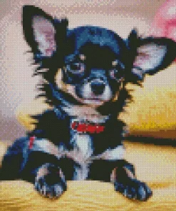 Cute Black Chihuahua Diamond Painting