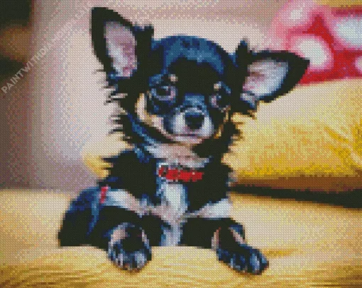 Cute Black Chihuahua Diamond Painting