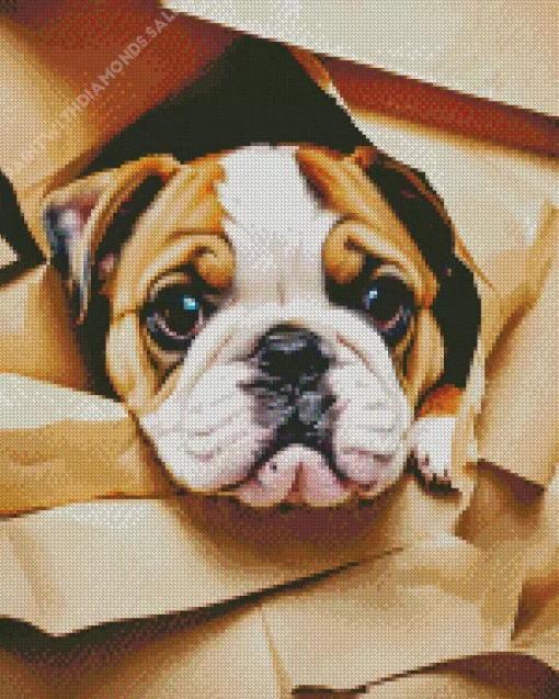 Cute Bulldog Diamond Painting