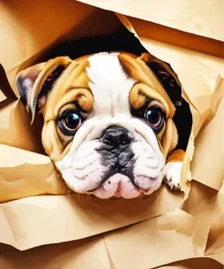 Cute Bulldog Diamond Painting