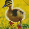 Cute Little Wood Duck Diamond Painting