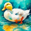 Cute White Duck Diamond Painting