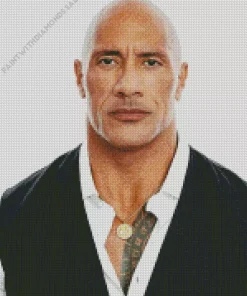 Elegant Dwayne Johnson Diamond Painting