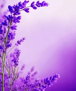 Floral Lavender Diamond Painting