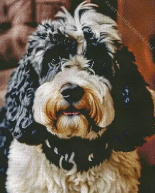 Fluffy Bernedoodle Diamond Painting