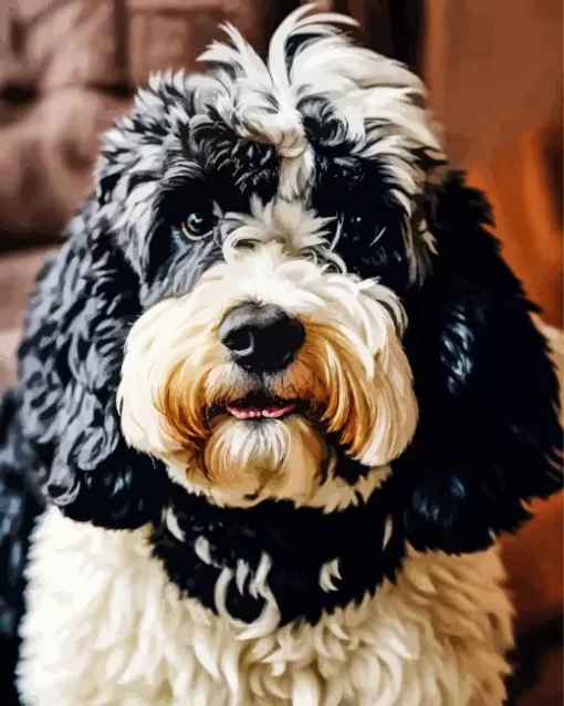 Fluffy Bernedoodle Diamond Painting