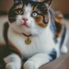 Fluffy Calico Cat Diamond Painting