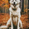 Fluffy Great Pyrenees Diamond Painting