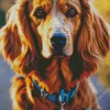 Fluffy Irish Setter Diamond Painting