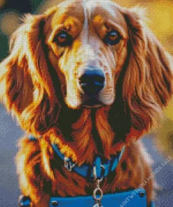 Fluffy Irish Setter Diamond Painting