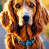 Fluffy Irish Setter Diamond Painting