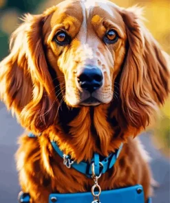 Fluffy Irish Setter Diamond Painting