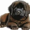 Fluffy Newfoundland Diamond Painting