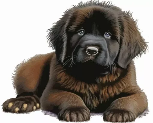 Fluffy Newfoundland Diamond Painting