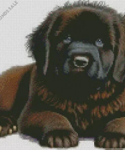 Fluffy Newfoundland Diamond Painting