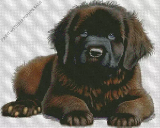 Fluffy Newfoundland Diamond Painting