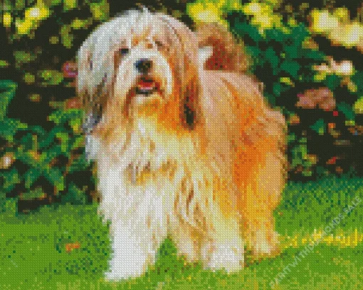 Fluffy Tibetan Terrier Diamond Painting