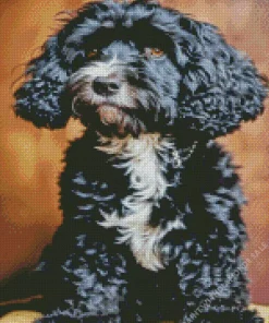 Fluffy Black Tibetan Terrier Diamond Painting