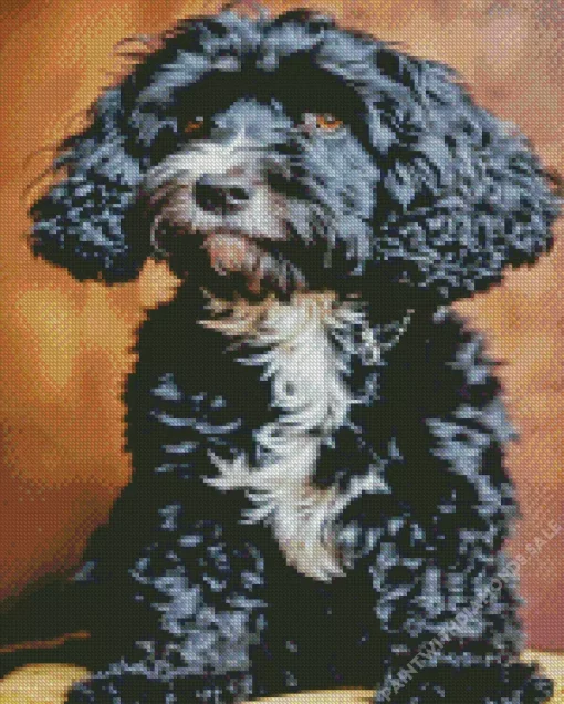 Fluffy Black Tibetan Terrier Diamond Painting