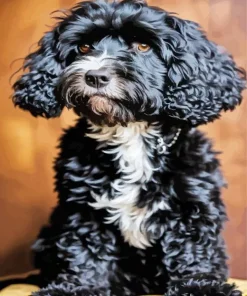 Fluffy Black Tibetan Terrier Diamond Painting