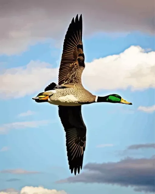 Flying Wood Duck Diamond Painting