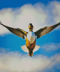 Flying Wood Duck Bird Diamond Painting