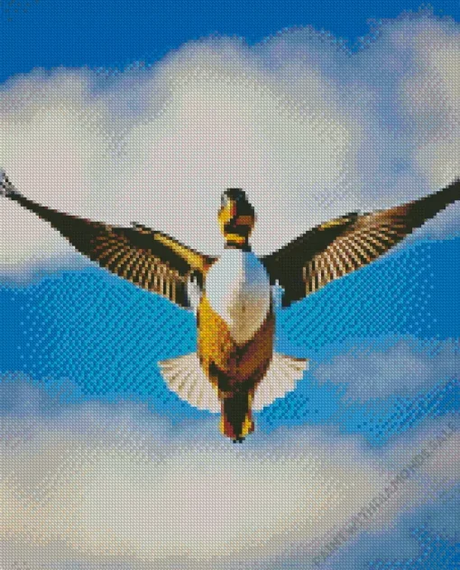 Flying Wood Duck Bird Diamond Painting