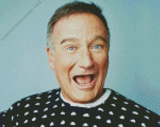 Funny Robin Williams Diamond Painting