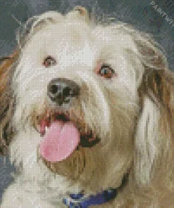 Funny Tibetan Terrier Diamond Painting