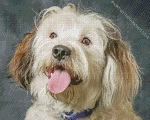 Funny Tibetan Terrier Diamond Painting