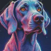 Galaxy Weimaraner Dog Diamond Painting