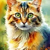 Green Eyed Calico Cat Diamond Painting