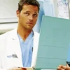 Greys Anatomy Alex Karev Diamond Painting