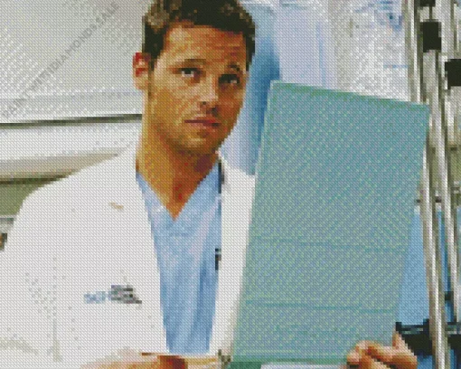 Greys Anatomy Alex Karev Diamond Painting