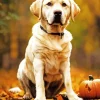 Halloween Labrador Retriever Diamond Painting