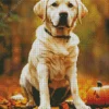 Halloween Labrador Retriever Diamond Painting