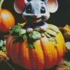 Halloween Opossum Diamond Painting