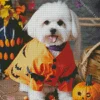 Halloween Zuchon Dog Diamond Painting