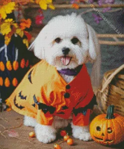 Halloween Zuchon Dog Diamond Painting