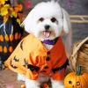 Halloween Zuchon Dog Diamond Painting