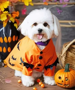 Halloween Zuchon Dog Diamond Painting