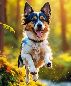 Happy Australian Shepherd Diamond Painting