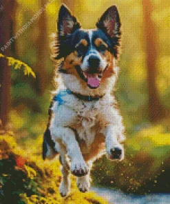 Happy Australian Shepherd Diamond Painting