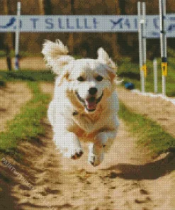 Happy Great Pyrenees Diamond Painting