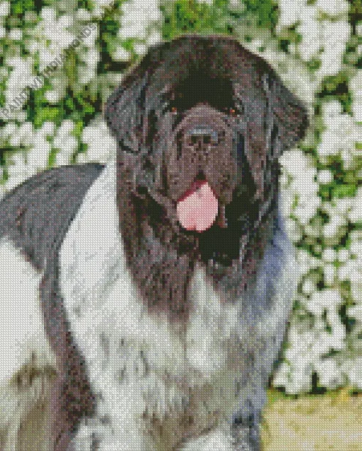 Happy Newfoundland Diamond Painting