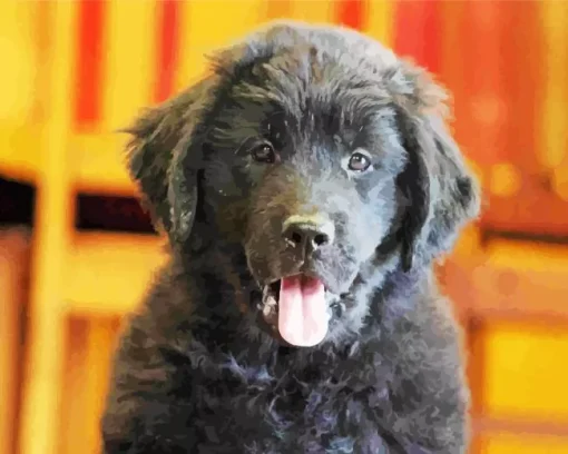 Happy Newfoundland Puppy Diamond Painting